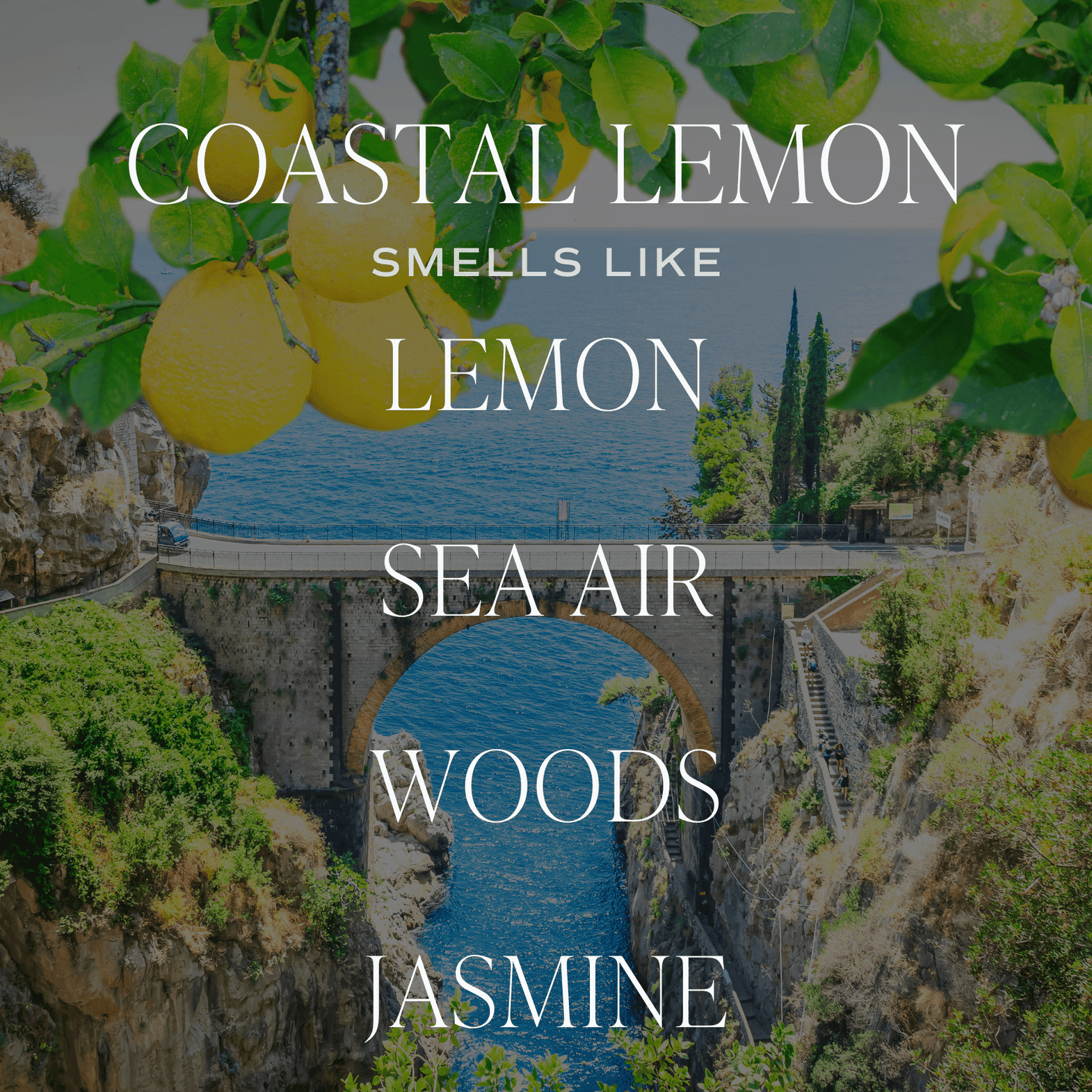 Coastal Lemon Soy Candle - Tinted Glass Jar - 12 oz - SwagglyLife Home & Fashion